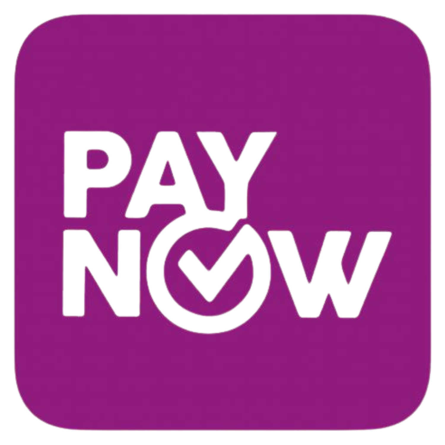 Pay Now 